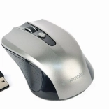 Souris optique sans fil noir-gris