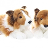 Chien en peluche Sheltie 37 cm