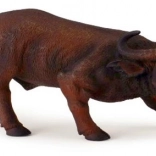 Collecta taureau africain – figurine réaliste