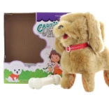 Chiot brun filaire avec télécommande