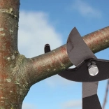 Sécateur à levier pour branches avec longs bras