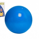 Ballon de gymnastique 65 cm pour l’entraînement et la rééducation