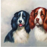 Peinture diamant Duo poilu 30 × 40 cm