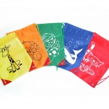 Sac pour chaussures d’intérieur 40 × 25,5 cm – couleurs assorties