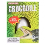 Œuf à sculpter avec crocodile phosphorescent