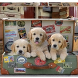 Puzzle Educa Chiots dans une valise 500 pièces