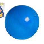 Balle de gymnastique 75 cm pour rééducation et exercices à domicile