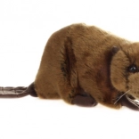 Castor en peluche 26 cm