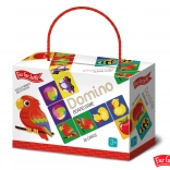 Domino Far Far Land coloré avec des images