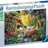 Puzzle 1500 pièces Tigres paisibles RAVENSBURGER