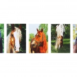 Bloc avec motif Cheval MINI 40l, 6x8,5 cm