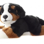 Chien de montagne bernois en peluche 25 cm