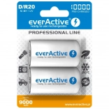 Piles rechargeables everActive R20/D Ni-MH 10000 mAh (2 pcs) prêtes à l’emploi