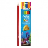 Crayons de couleur Ocean World triangulaires 6 pcs
